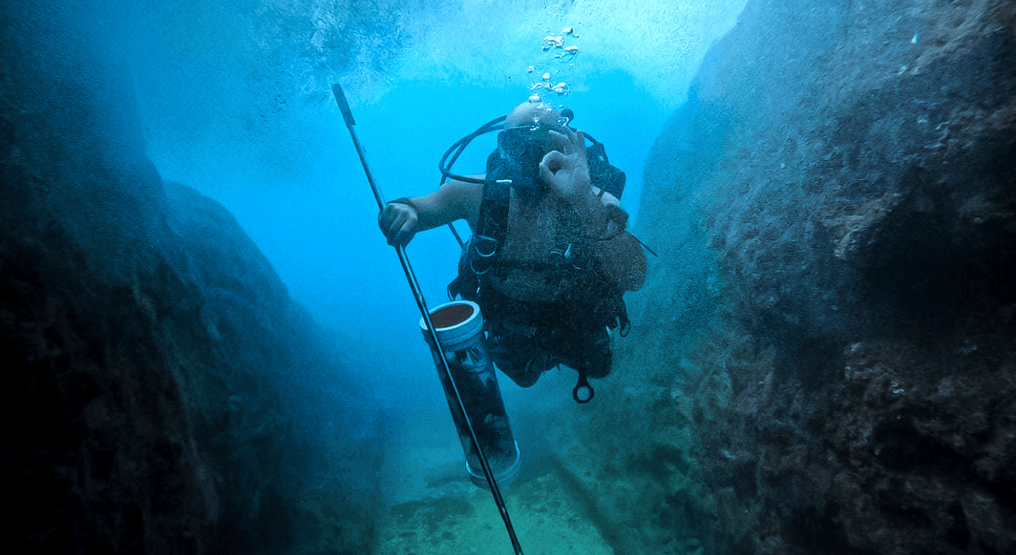 Lionfish Hunter course