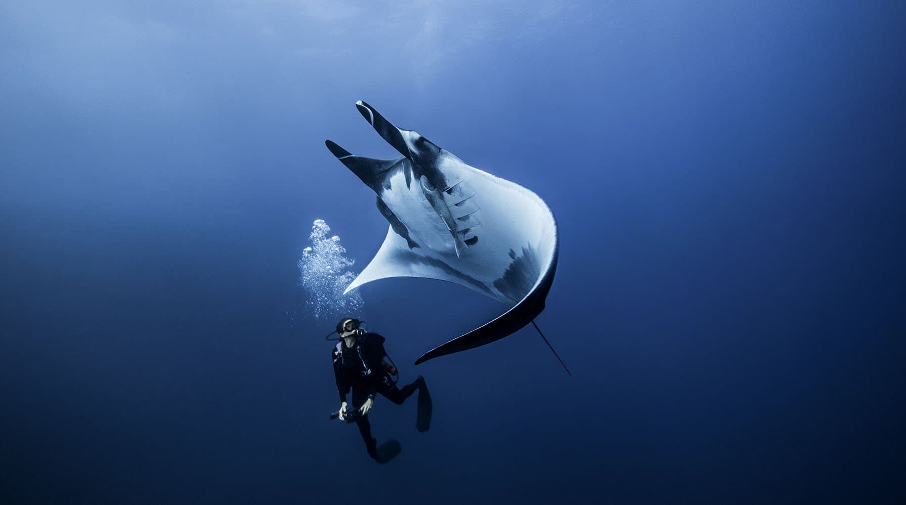 Scuba diver exploring the Mediterranean coast of Lebanon